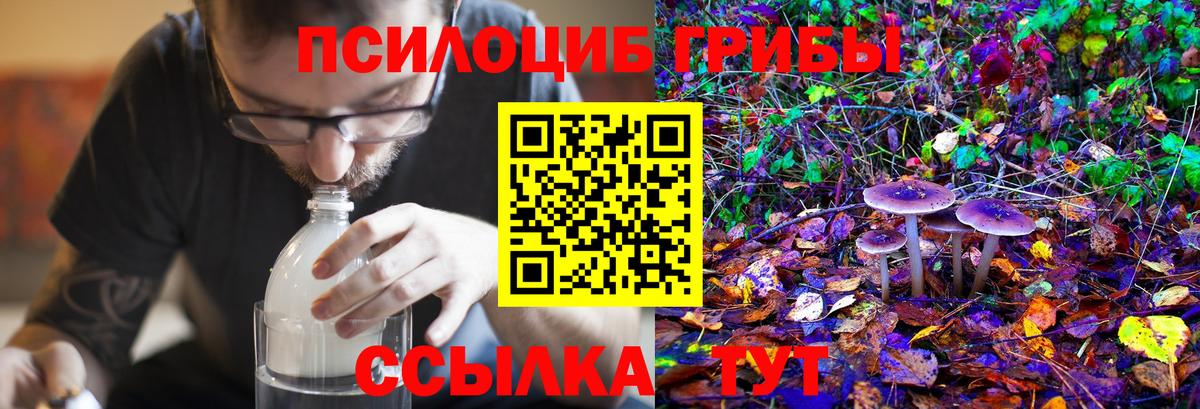 Галлюциногенные грибы мухоморы  Псилоцибиновые грибы мухоморы  Иваново  Вход с VPN 