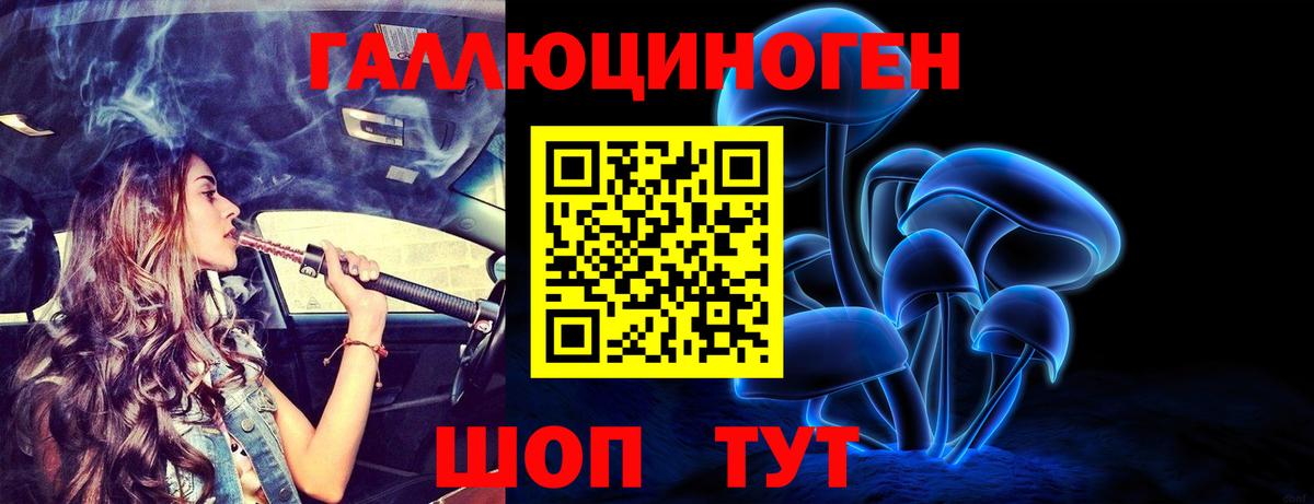 Псилоцибиновые грибы Psilocybe Иваново
